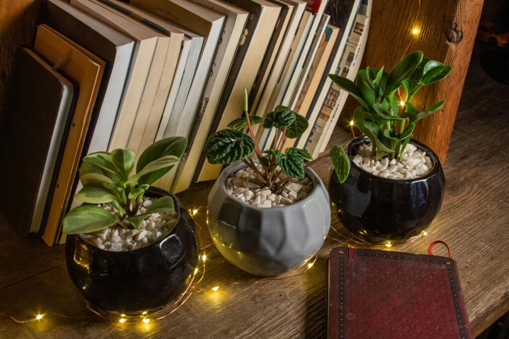 Charming indoor scene with houseplants, stacked books, and fairy lights creating a warm, inviting atmosphere.