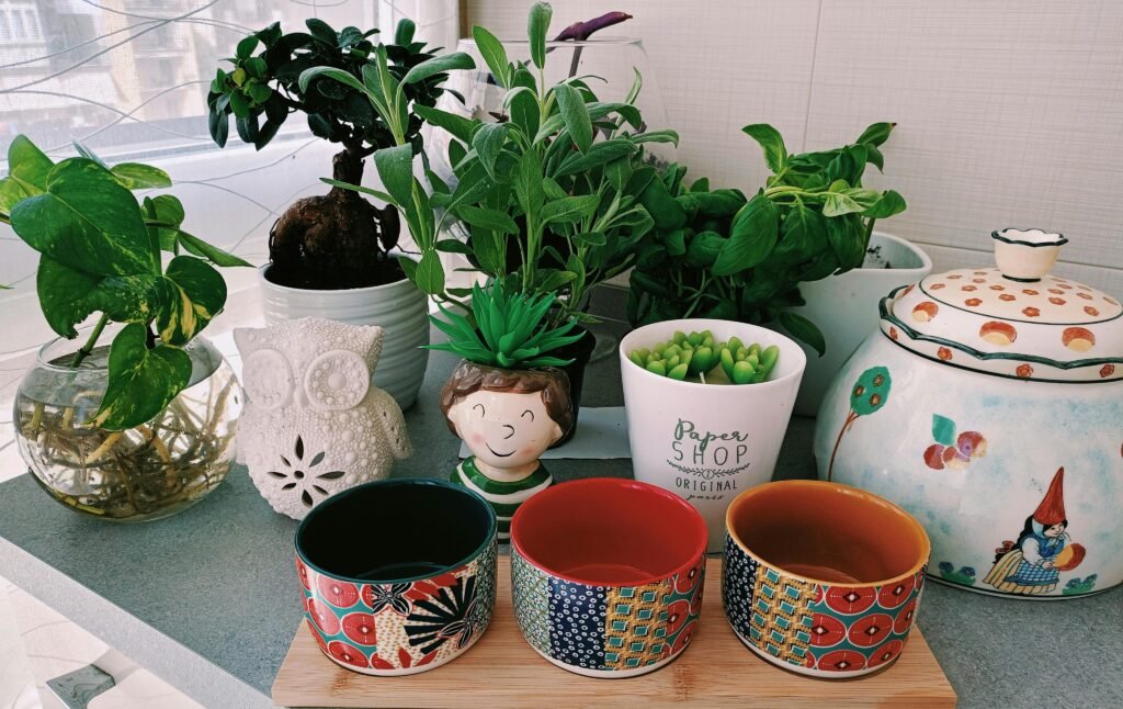 Indoor plants and decorative pottery creating vibrant counter decor.