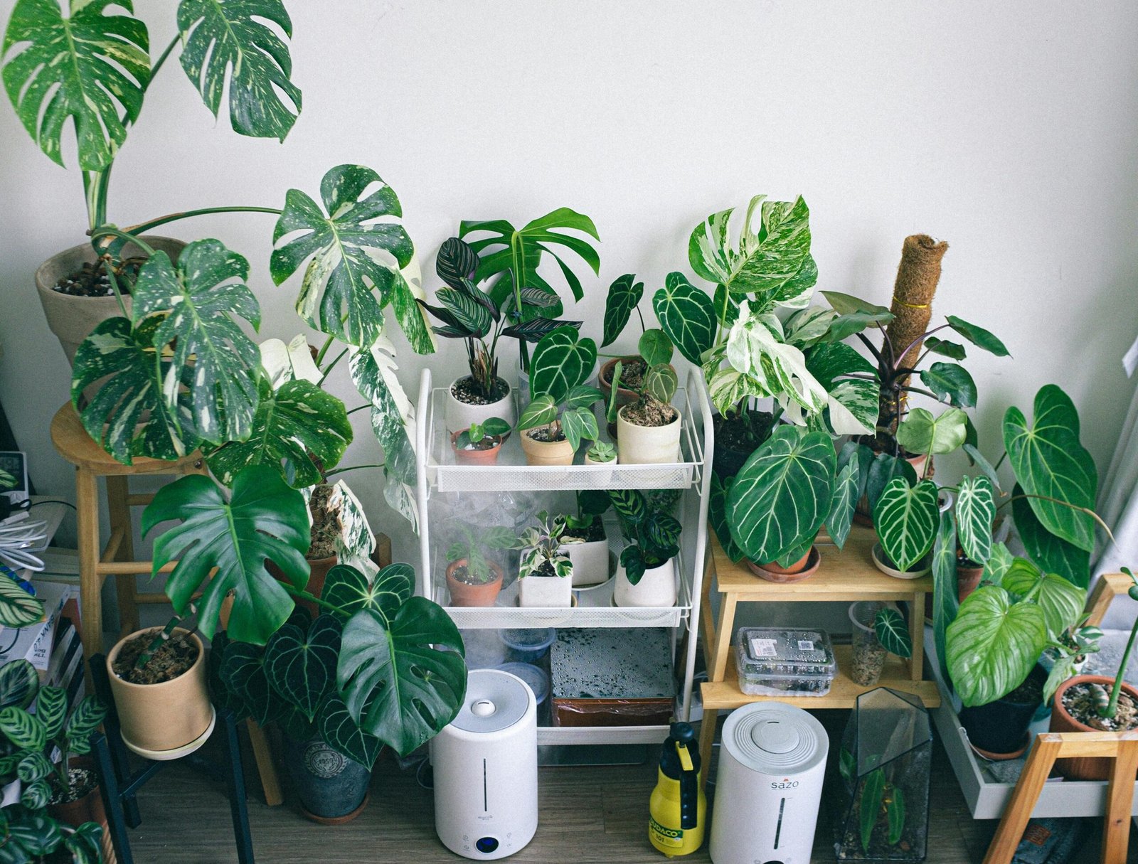 My Favorite Houseplant Tools & Accessories